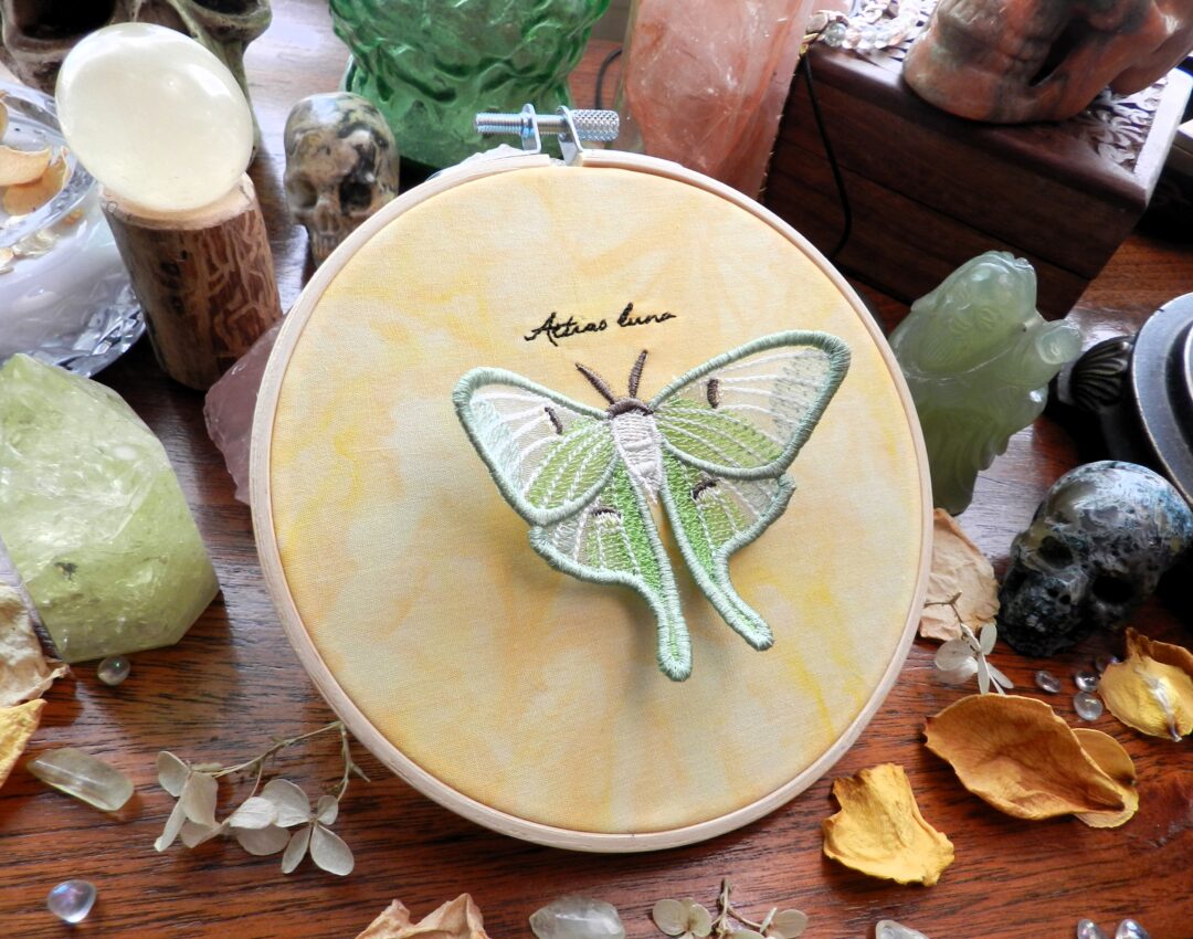 Luna Moth