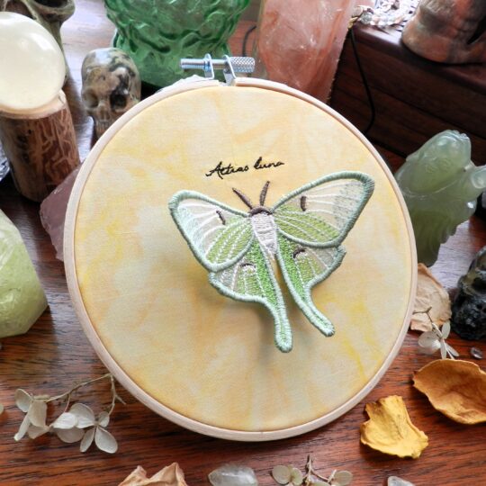 Luna Moth