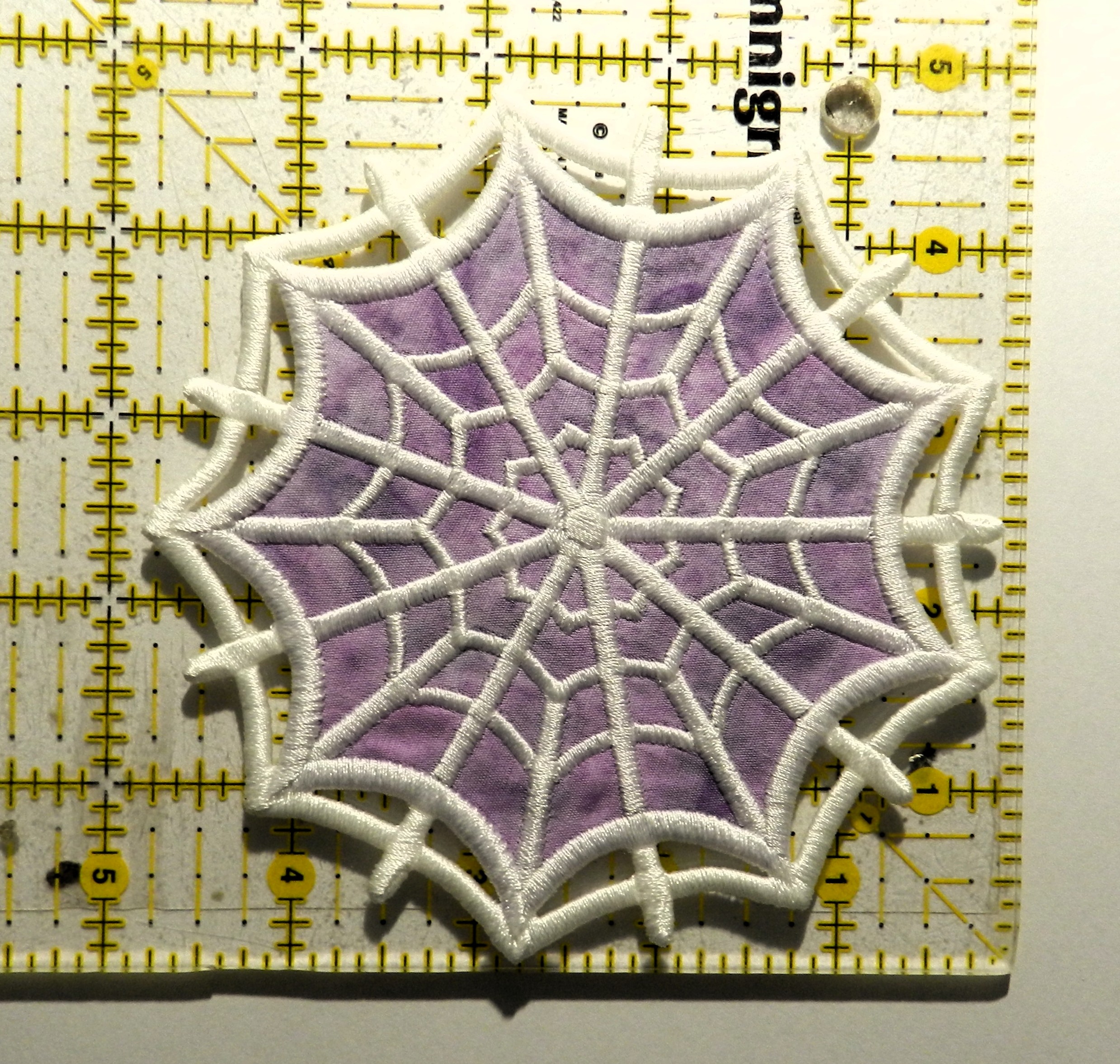 DSCN5102
